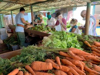 Detectan violaciones de precios en venta de productos agropecuarios en La Habana