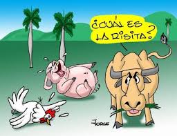 Desarrollarán a partir del 1 de marzo acción de control para caracterizar la ganadería cubana